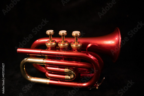 red pocket trumpet isolated on black