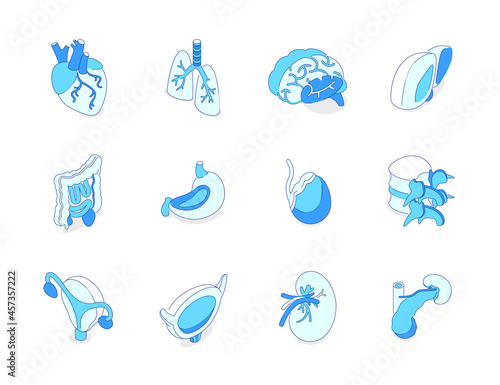 Human internal organs - modern isometric icons set