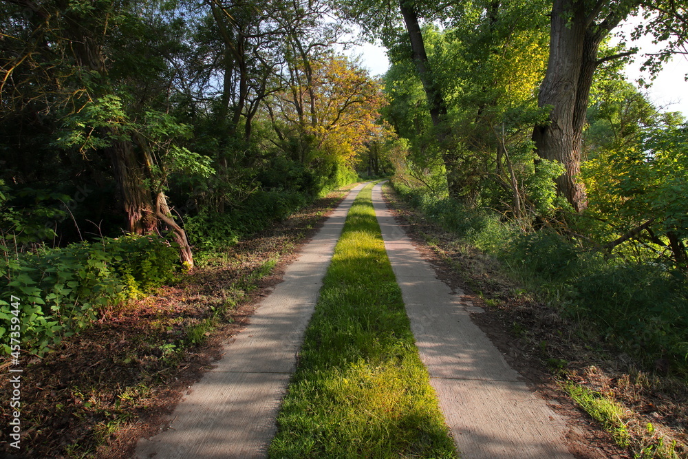 Wirtschaftsweg Weg mit Bäumen und Büschen