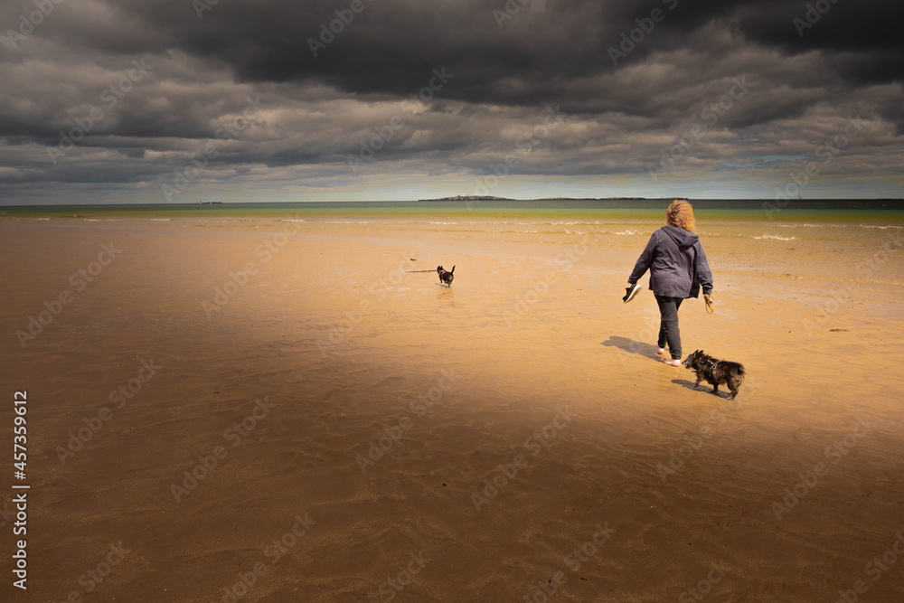 Obraz premium Walking on the beach