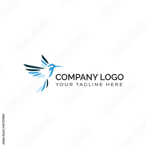 hummingbird flying blues modern logo
