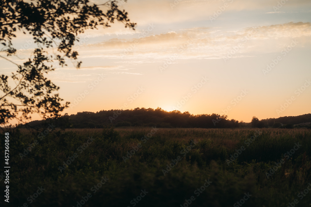 Sunset in the summer Sunset in the summer