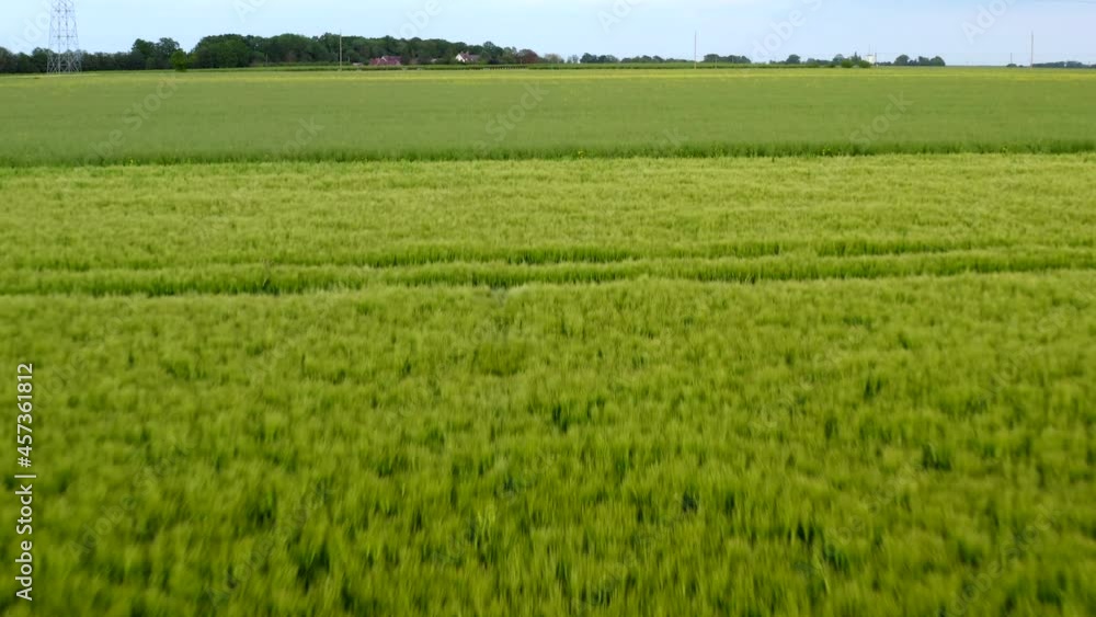 drone shot of deer running in a field drone shot of deer running in a field
