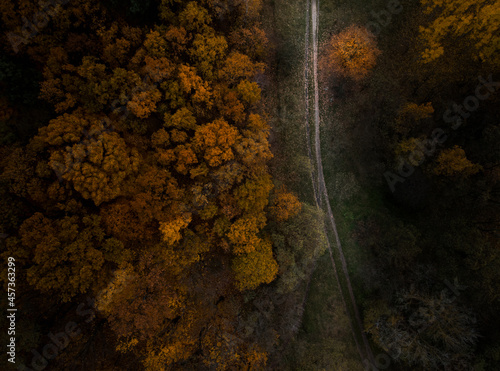 Wallpaper Mural Road in an autumn forest from above Torontodigital.ca