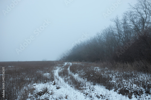 Mysterious gloomy landscape of car trace in winter or late autumn field with yellow withered grass and leafless trees on sidelines at twilight with grey cloudy sky. Nobody around. Beauty of nature
