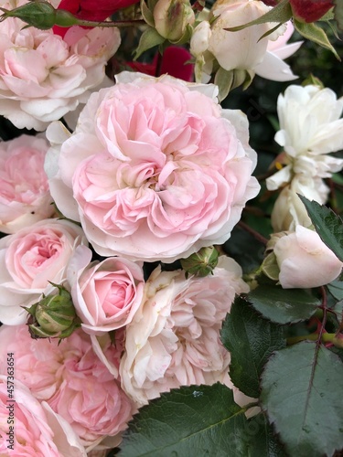 pink roses bouquet