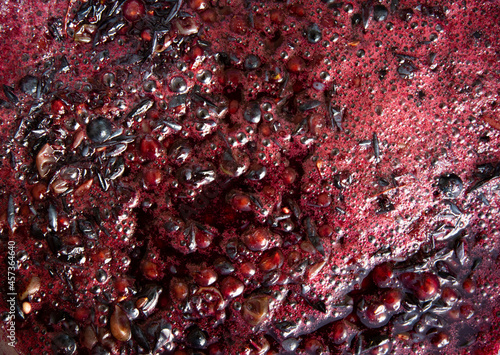 Grape pulp for winemaking