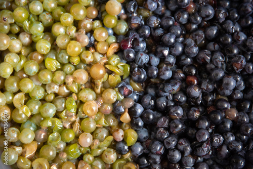 Grape pulp for winemaking