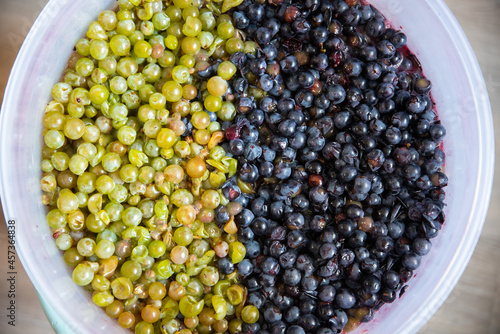 Grape pulp for winemaking