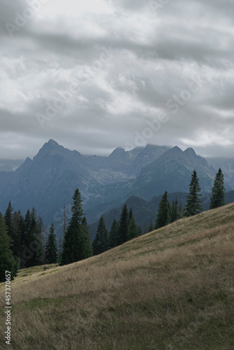 Mountains © Michałowski Fotograf