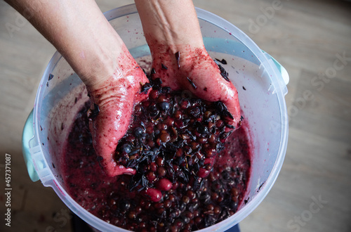 Grape pulp of red wine from a dark grape variety