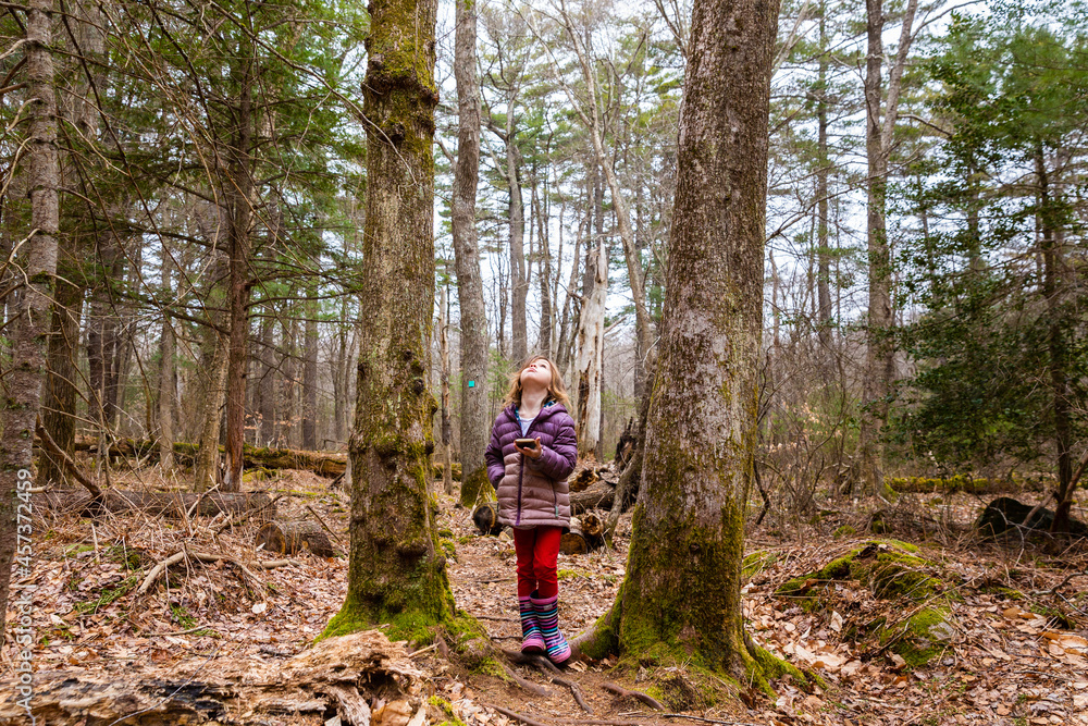 Girl Holding Phone Looking Up Between Trees Girl Holding Phone Looking Up Between Trees