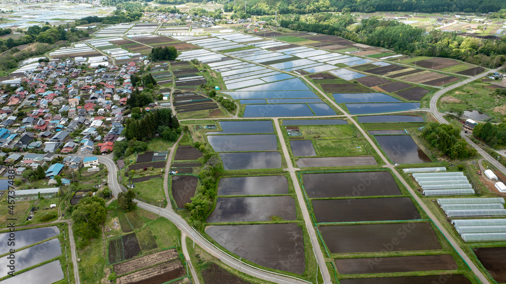 Freshly filled paddy fields on a gentle slope C