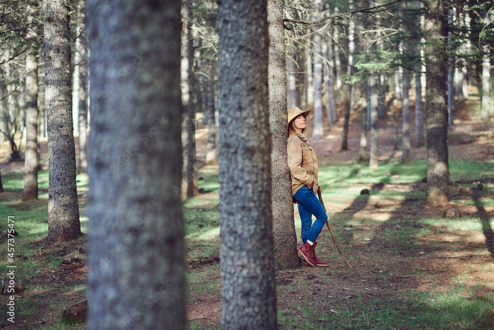 Woman on the mountain. She is in a forest with pine trees. Woman on the mountain. She is in a forest with pine trees.