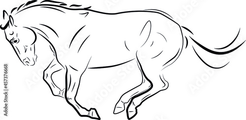 horse galloping ink black drawing