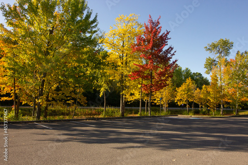 Shadows and Colours in the Parking Lot