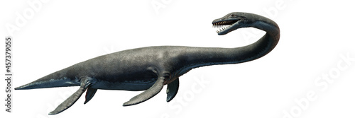 Elasmosaurus, plesiosaur from the Late Cretaceous period, isolated on white background, 3d science render banner photo