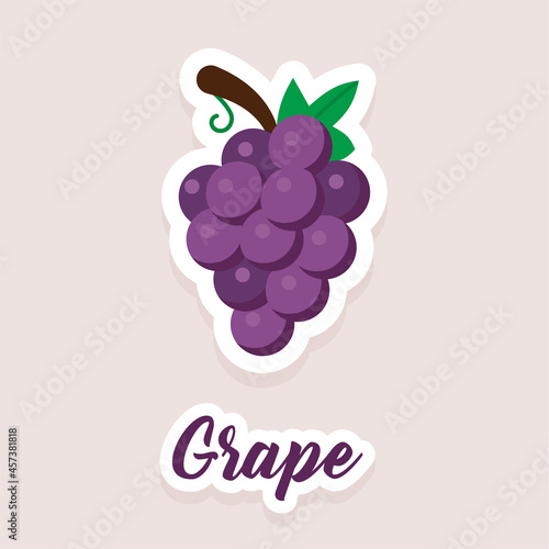 Cute vector sticker fruit grapes icons. Flat style.