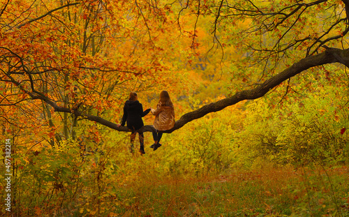 Two girl friends are sitting on tree branch holding hands among autumn foliage. Bright fall maple leaves in autumnal park.