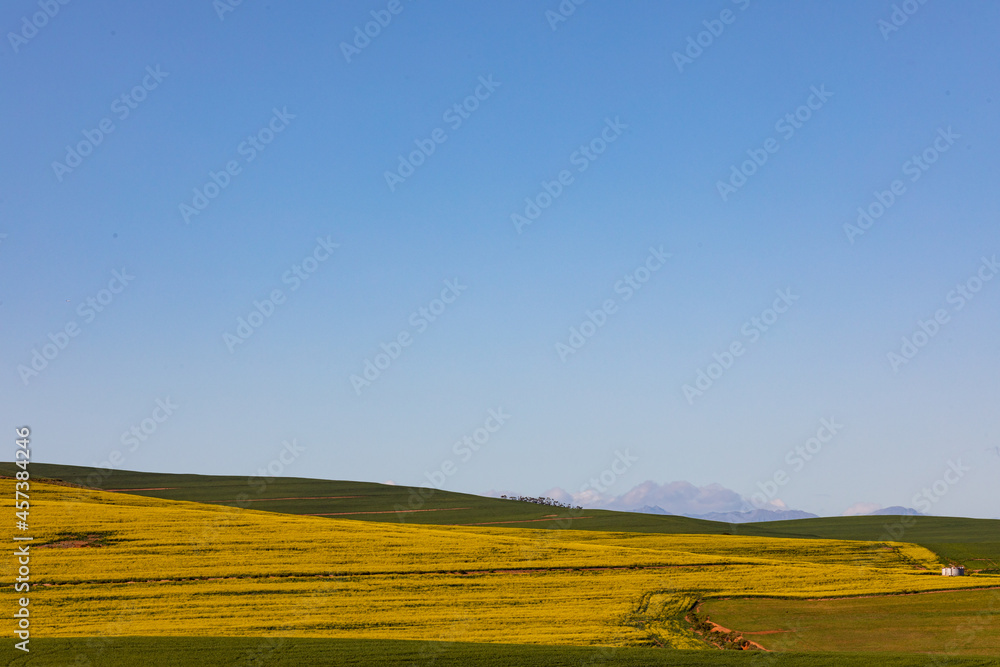 General view of countryside landscape with cloudless sky
