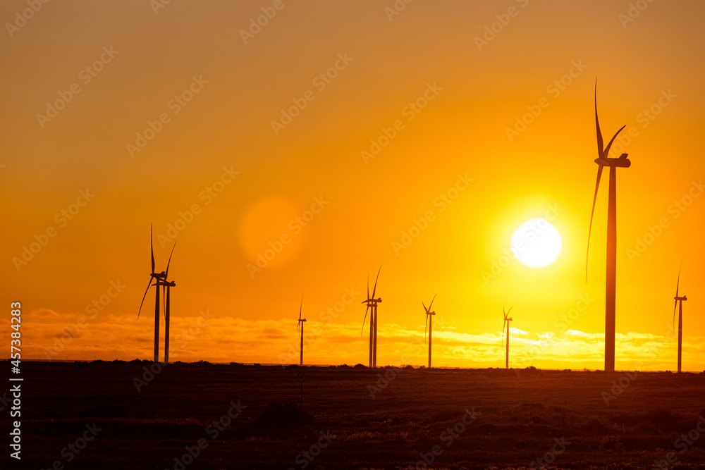 Obraz premium General view of wind turbines in countryside landscape during sunset