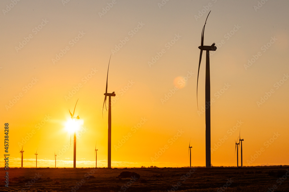 Fototapeta premium General view of wind turbines in countryside landscape during sunset