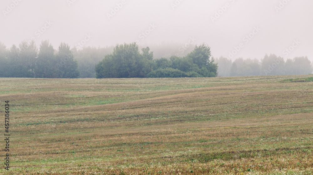Calm Belarusian landscape. A farm field with the harvest at dawn in a misty haze.