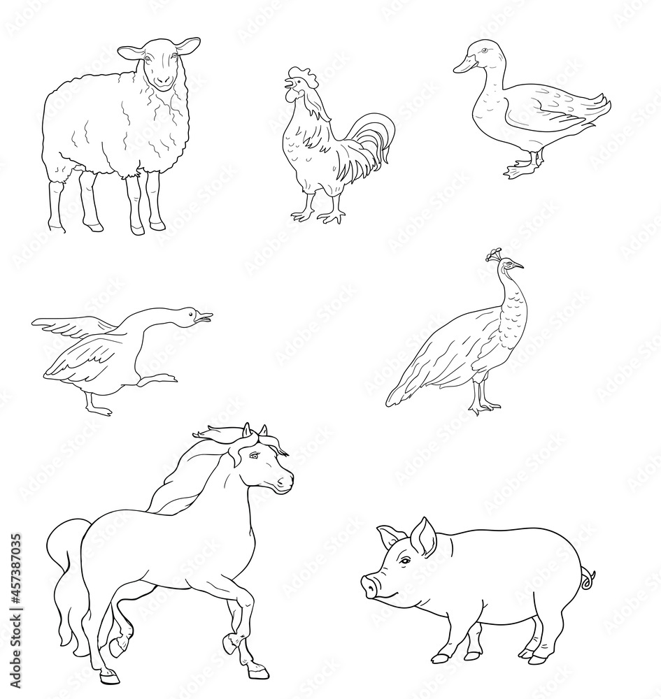 Duck, rooster, gander, sheep, peacock, horse, pig isolated on a white background. Hand drawn sketch style outline set. vector illustration.