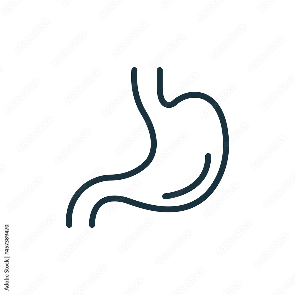 Stomach Line Icon. Human Alimentary Internal Organ Linear Pictogram. Healthy Stomach Outline Icon. Editable Stroke. Isolated Vector Illustration Stomach Line Icon. Human Alimentary Internal Organ Linear Pictogram. Healthy Stomach Outline Icon. Editable Stroke. Isolated Vector Illustration
