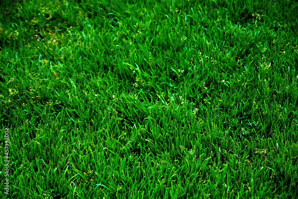 coloured background coloured background