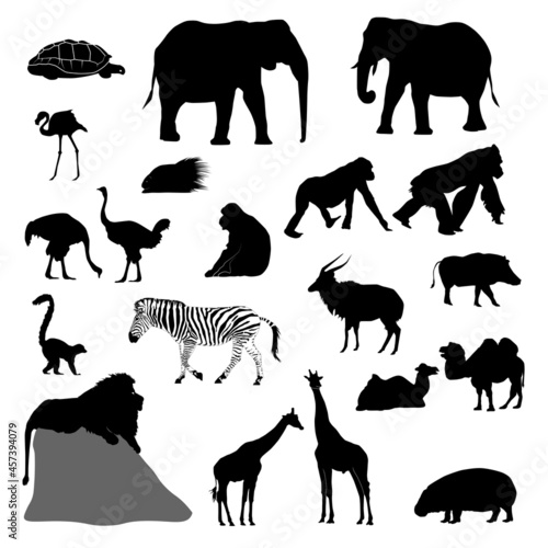 set of silhouettes of african animals (ostrich, giraffe, elephant, zebra, warthog, nyala, flamingo, pigmy hippo, gorilla...) vector isolated on white background