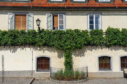 nice building exterior with grapes in Lent district Maribor Szlovenia photo
