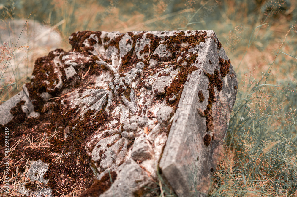 kirkut, cemetery, karczew, Jewish cemetery, Jewish cemetery in karczew, abandoned cemetery, faith, religion