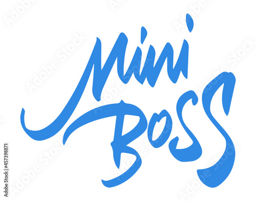 Mini boss