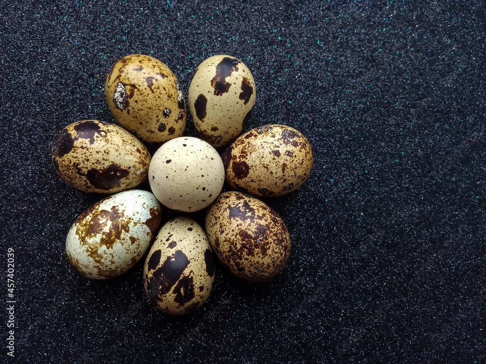eight quail eggs in the shape of a flower on black background closeup eight quail eggs in the shape of a flower on black background closeup