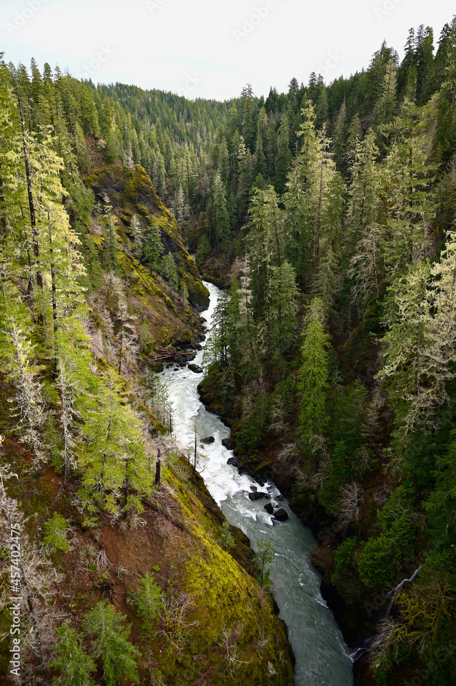 View of River Valley From Bridge