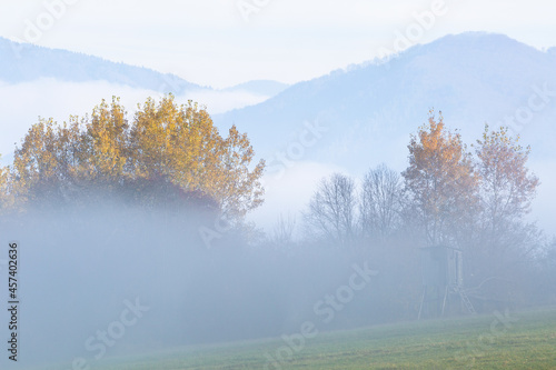 Foggy morning in Velka fatra mountains, Slovakia. photo