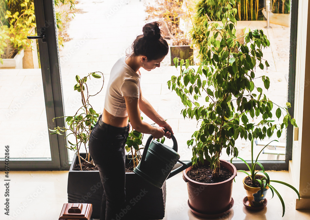 young woman watering plants at home young woman watering plants at home