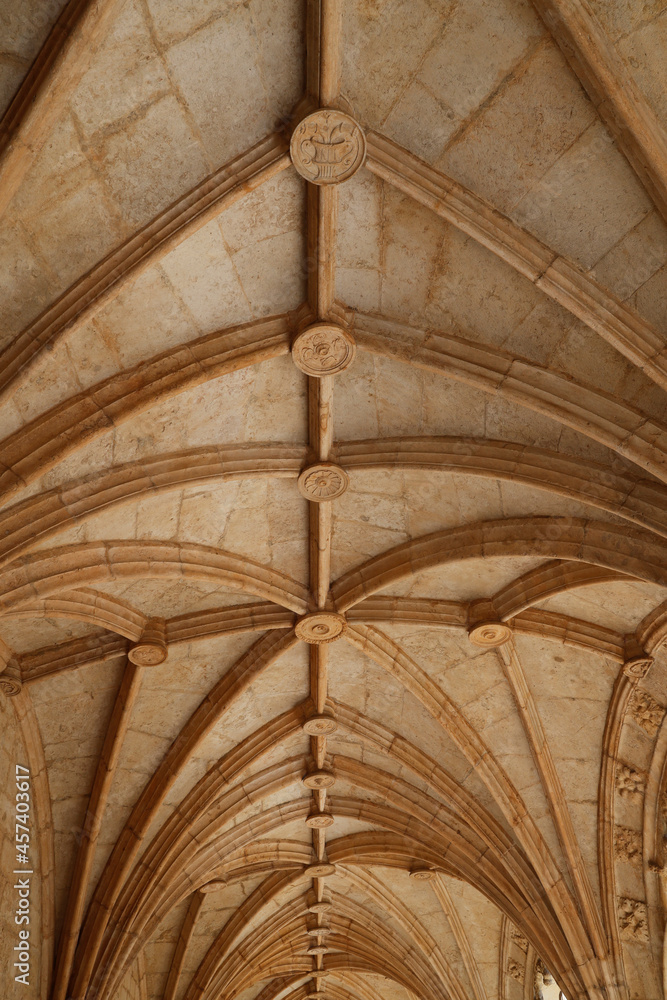 Religion and spirituality. Catholic church. Religion and spirituality. Catholic church.