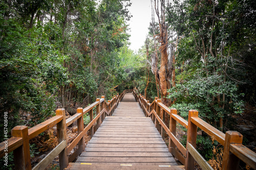 Stairs of the Arrayanes Forest promenade on Victoria Island, Villa La Angostura, Patagonia, Argentina.