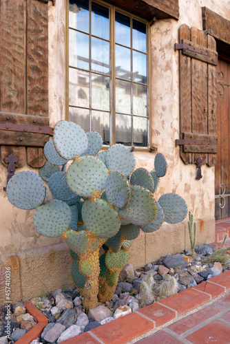 Beavertail cactus in the courtyard at Scotty's Castle,  Death Valley, California photo