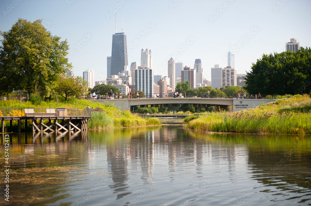 A partial view of the Chicago skyline as seen from the gardens of Lincoln Park. A partial view of the Chicago skyline as seen from the gardens of Lincoln Park.