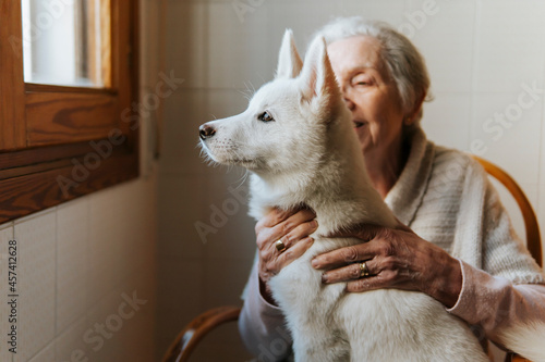 Elderly woman tenderly hugs her white Siberian husky puppy dog photo