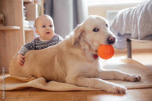 Lovely retriever engages baby boy to crowl photo