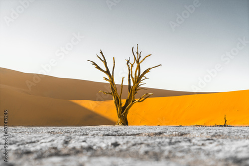 Sunrise At Deadvlei In Namib Desert photo