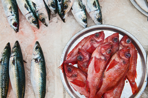 presenting fresh fish at produce market in Korea photo