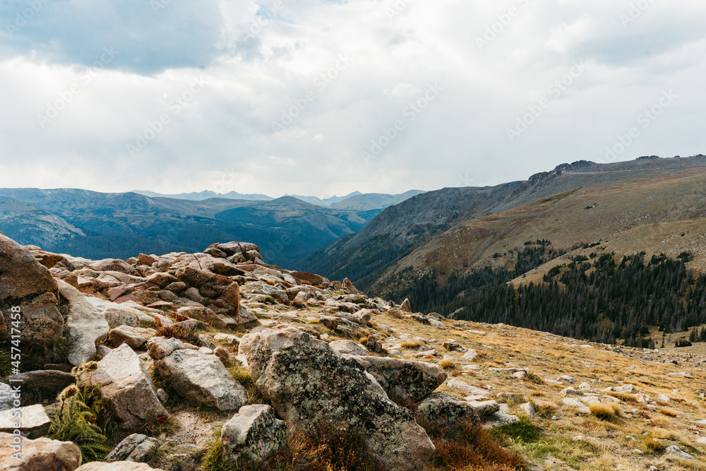 Wild Mountain Top in Colorado 