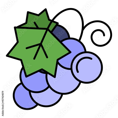 Concord grape icon. Outline concord grape vector icon color flat isolated on white