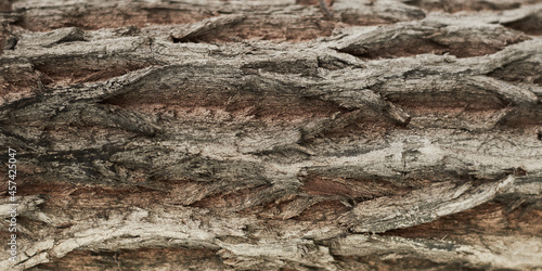 old dry tree bark with beautiful cracked texture