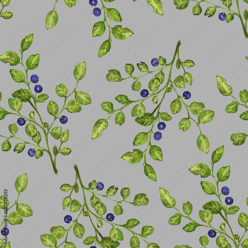 sprig of wild blueberry with berries, watercolor illustration isolated on gray background, pattern for textile or paper